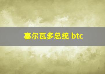 塞尔瓦多总统 btc